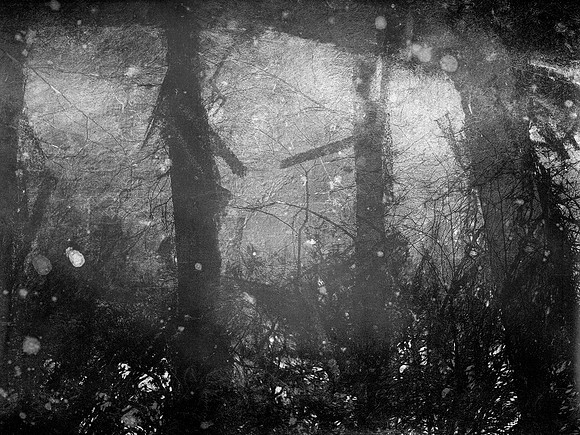 06-10-Edit-2-Edit-2-Edit-Edit-Edit-5-Edit-2