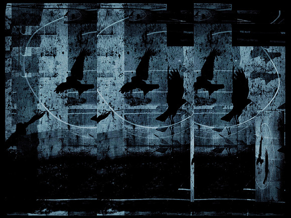 17-779
