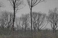 041214 #37