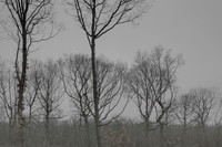 041214 #42
