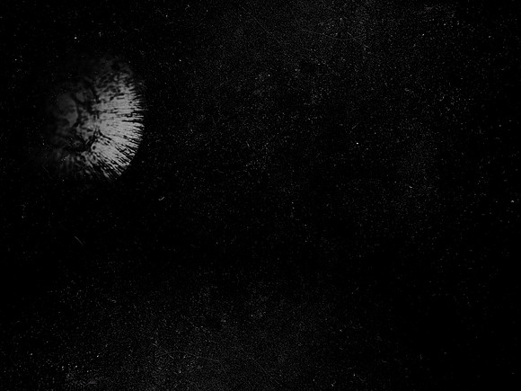 luna 1-85