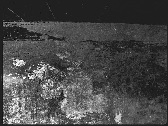 luna 1-19