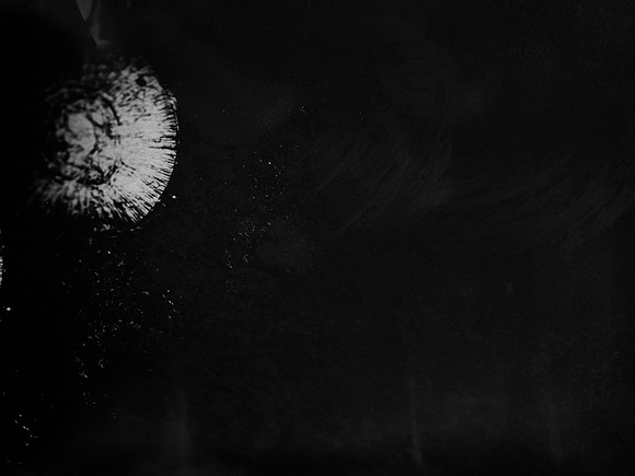 luna 1-81