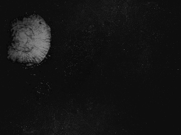 luna 1-92