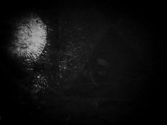 luna 1-72