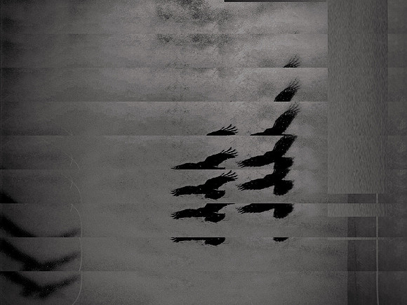 5-29