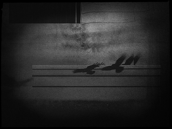 5-46