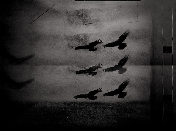 5-59