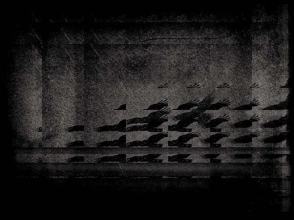 5-81