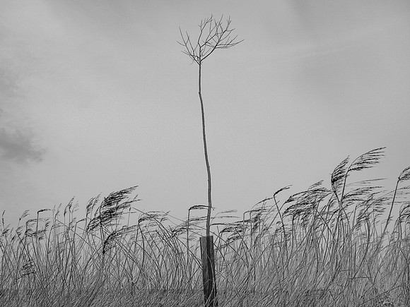 240316-1-30