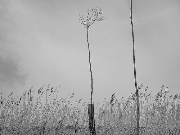 240316-1-27
