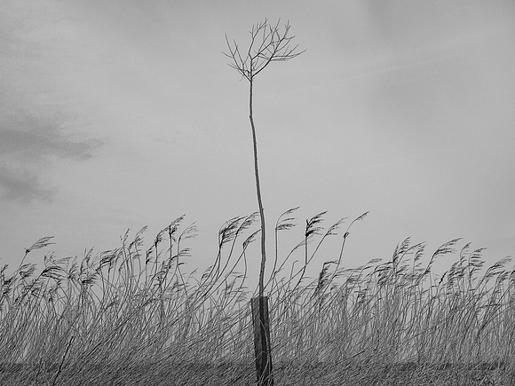 240316-1-18