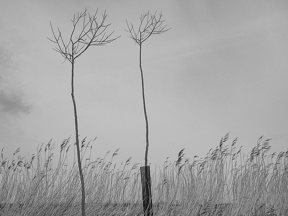 240316-1-32
