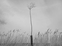240316-1-2