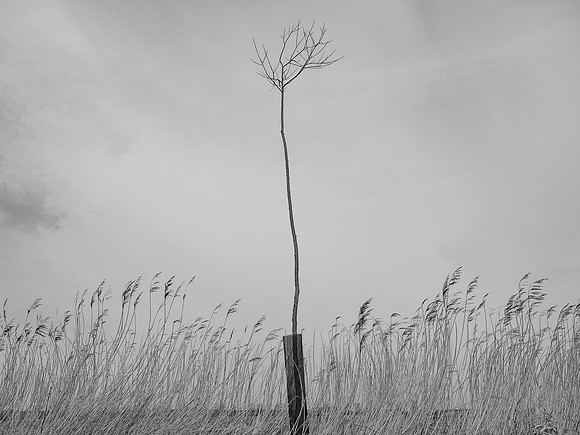 240316-1-2