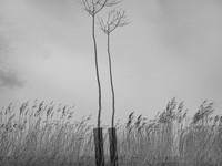 240316-1-6