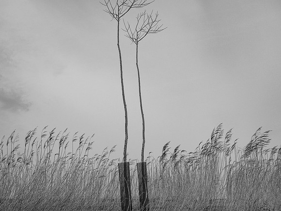 240316-1-6