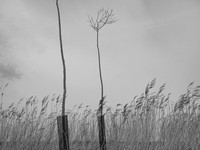 240316-1-10