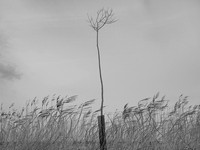 240316-1-1