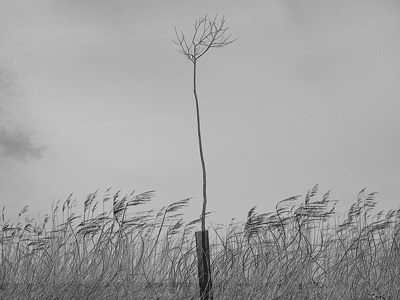 240316-1-1