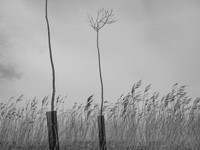 240316-1-5