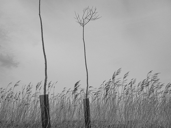 240316-1-5