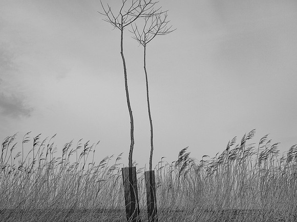 240316-1-17
