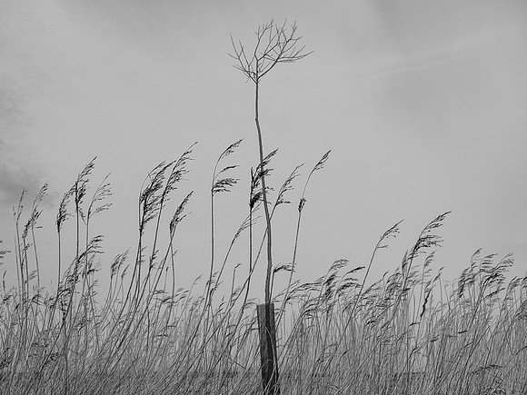 240316-1-31