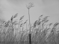 240316-1-3
