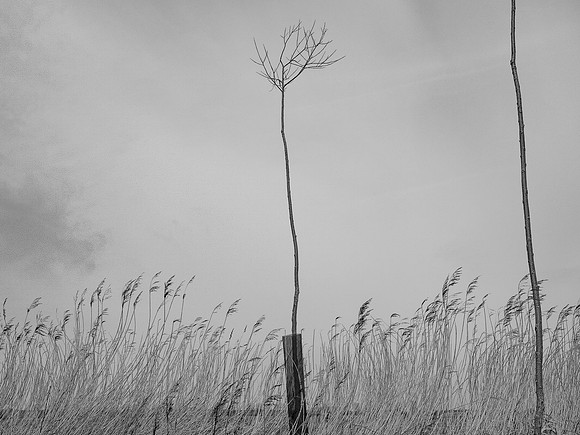 240316-1-28