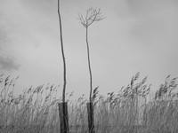 240316-1-7