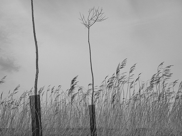 240316-1-34