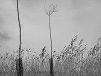 240316-1-8