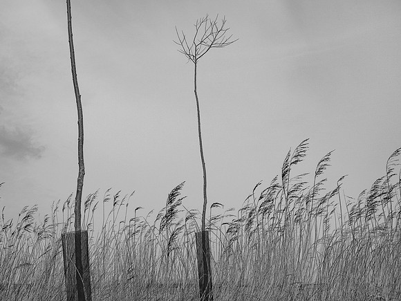 240316-1-8