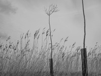 240316-1-15