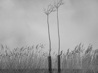 240316-1-4