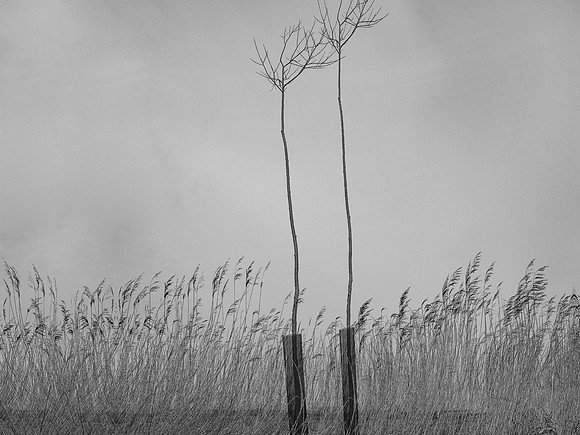 240316-1-4