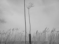 240316-1-20