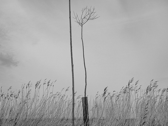 240316-1-20