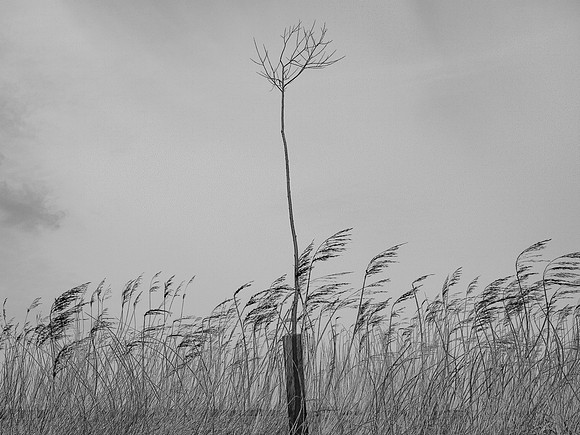 240316-1-29