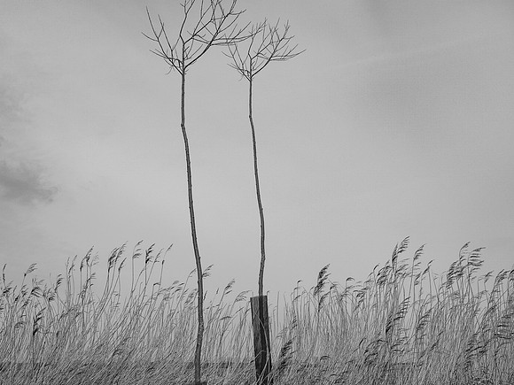 240316-1-37