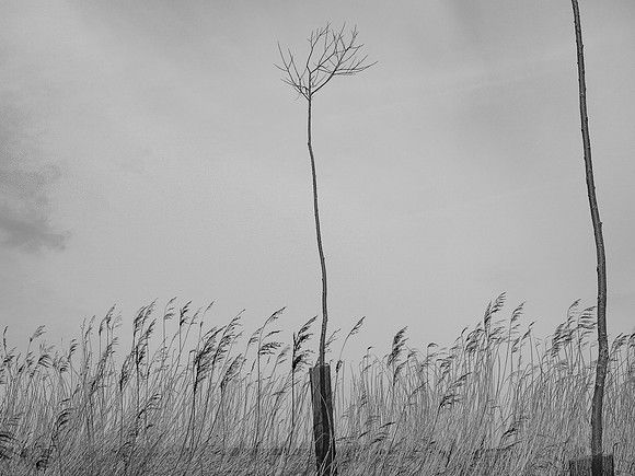 240316-1-22