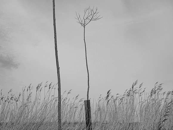 240316-1-21