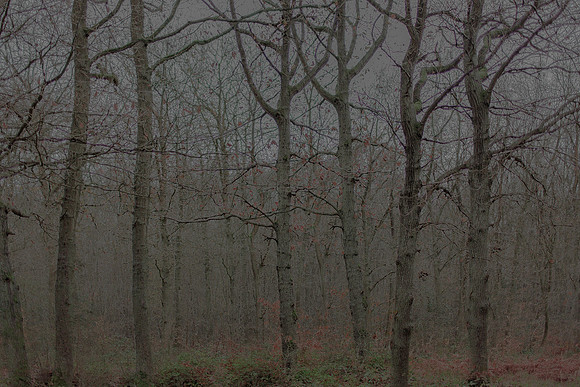 031214 #42