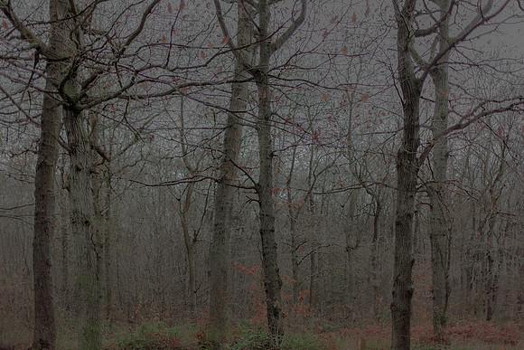 031214 #21