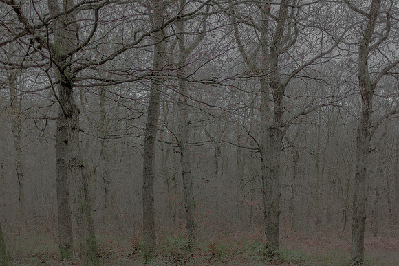 031214 #76