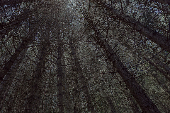2013-07-09-308