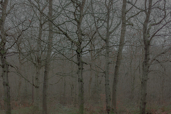 031214 #37