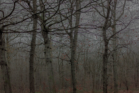 031214 #61