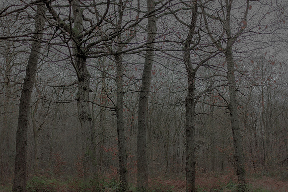 031214 #71